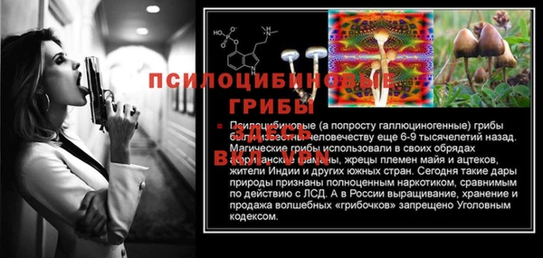 ешки Тутаев