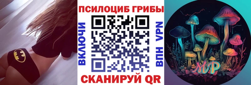 наркота  Дубна  Галлюциногенные грибы Psilocybine cubensis 