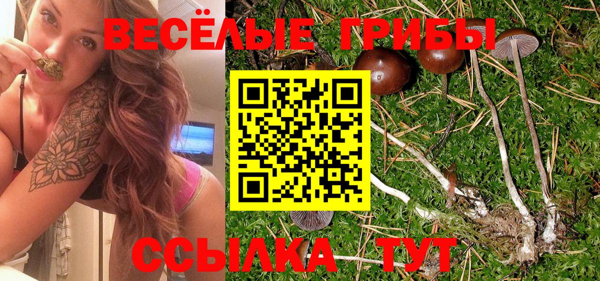 Галлюциногенные грибы GOLDEN TEACHER Дубна